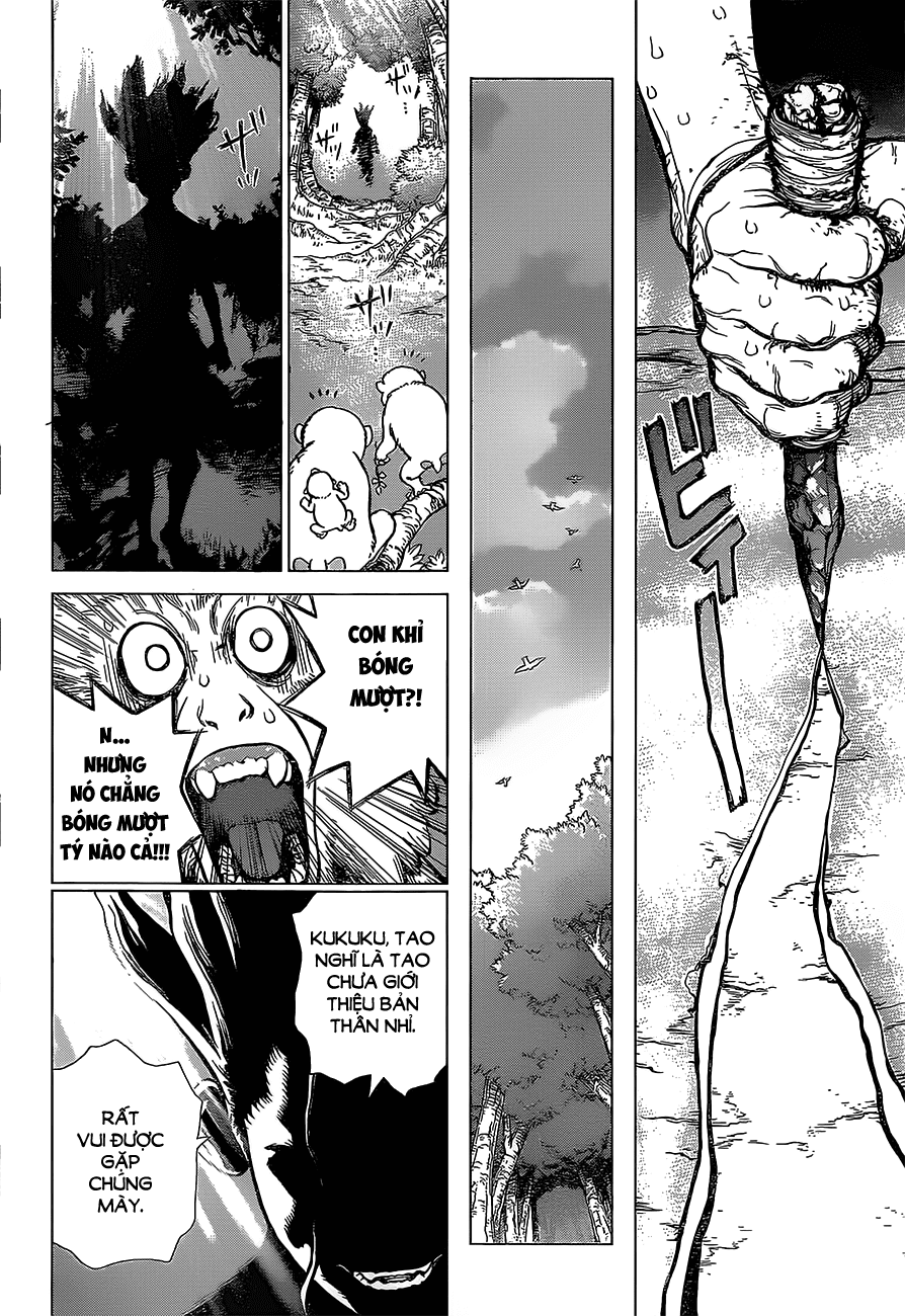 Dr.stone Tập 13 trang 19