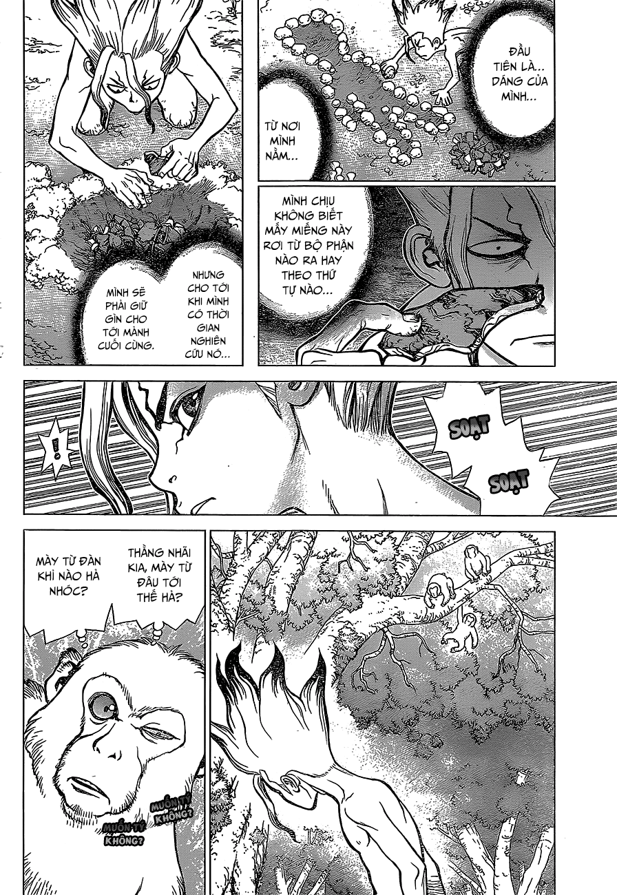 Dr.stone Tập 13 trang 6