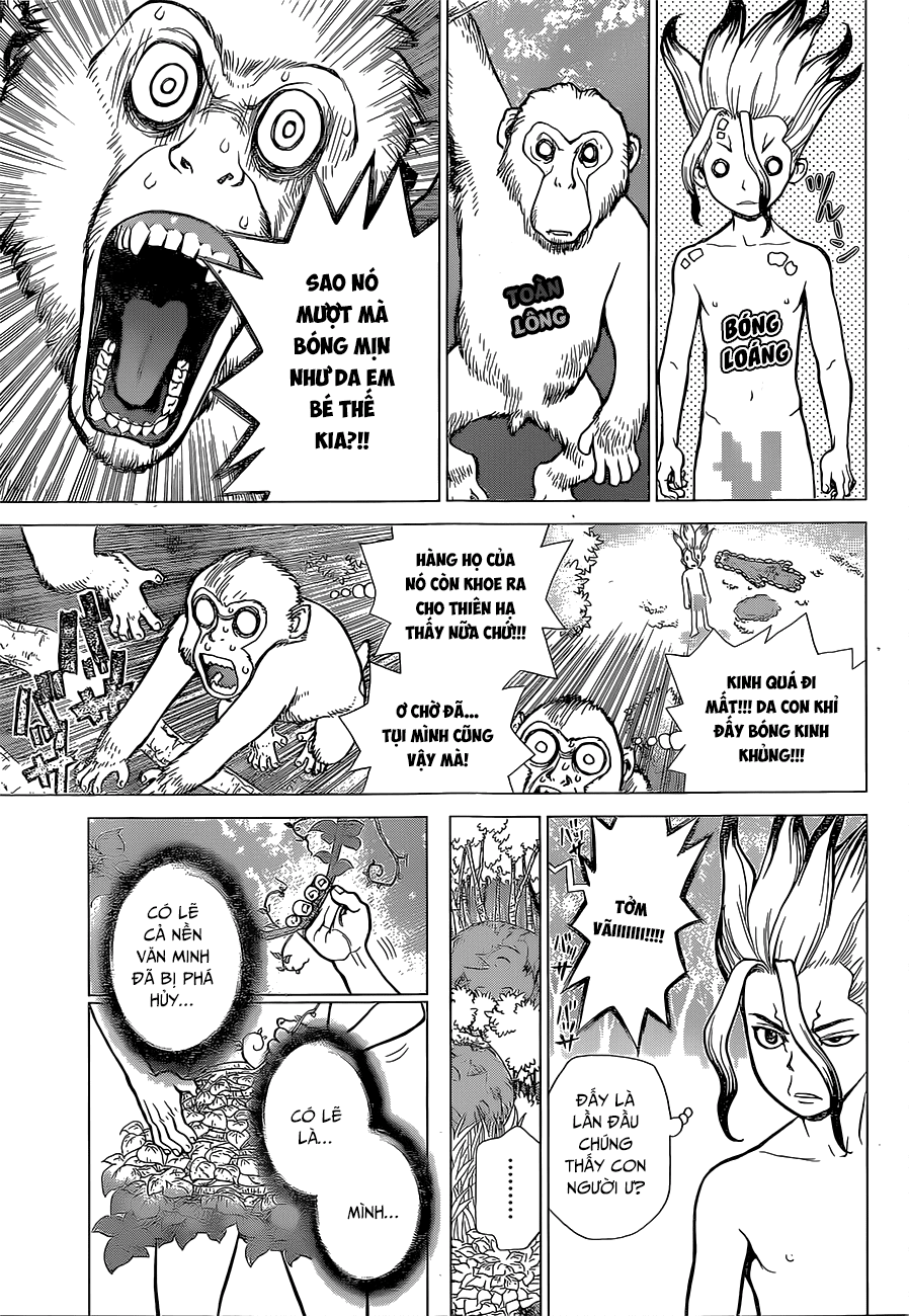 Dr.stone Tập 13 trang 7