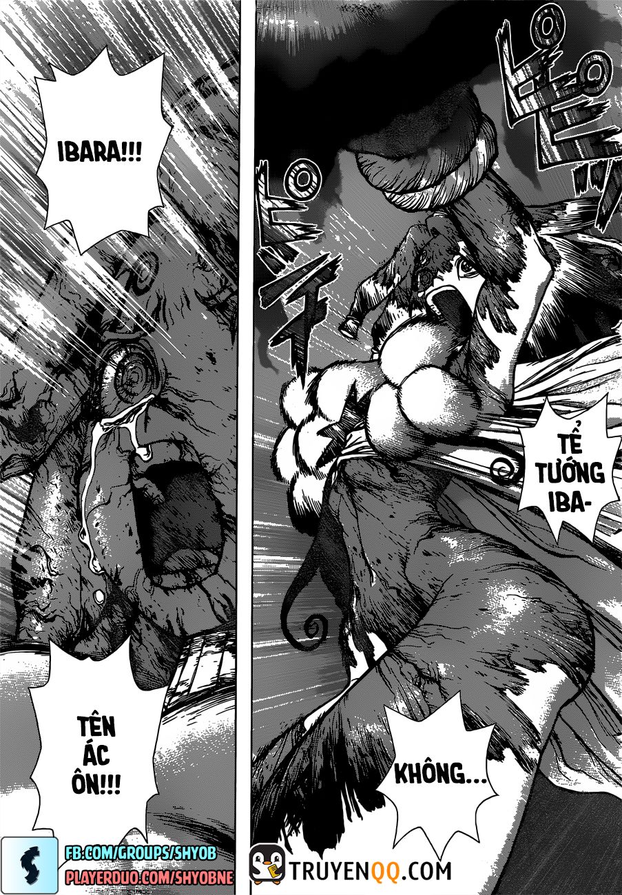 Dr.stone Tập 131 trang 15