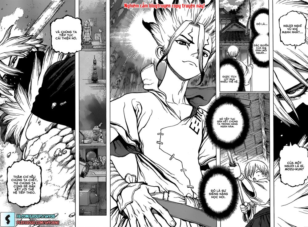 Dr.stone Tập 132 trang 17