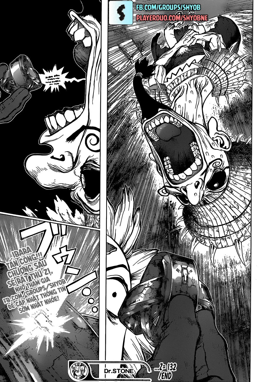 Dr.stone Tập 132 trang 19