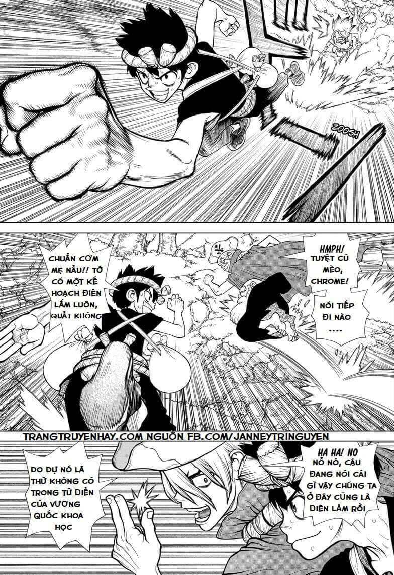 Dr.stone Tập 133 trang 13