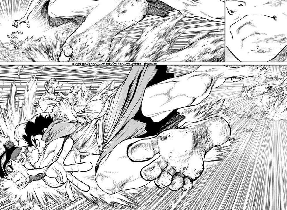 Dr.stone Tập 133 trang 14