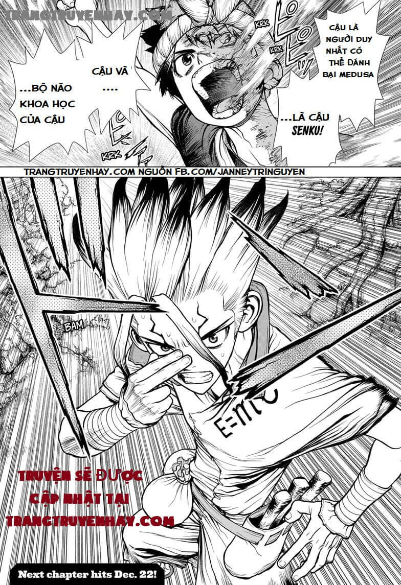 Dr.stone Tập 133 trang 19