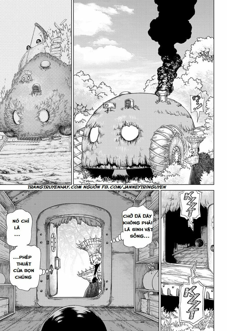 Dr.stone Tập 134 trang 16