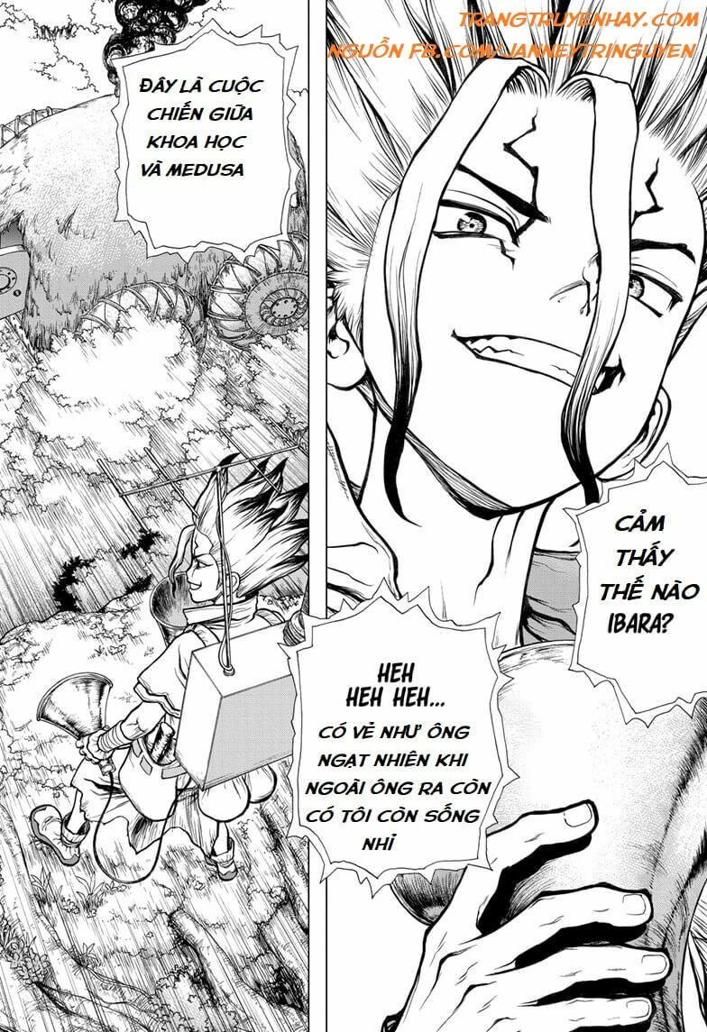 Dr.stone Tập 134 trang 19