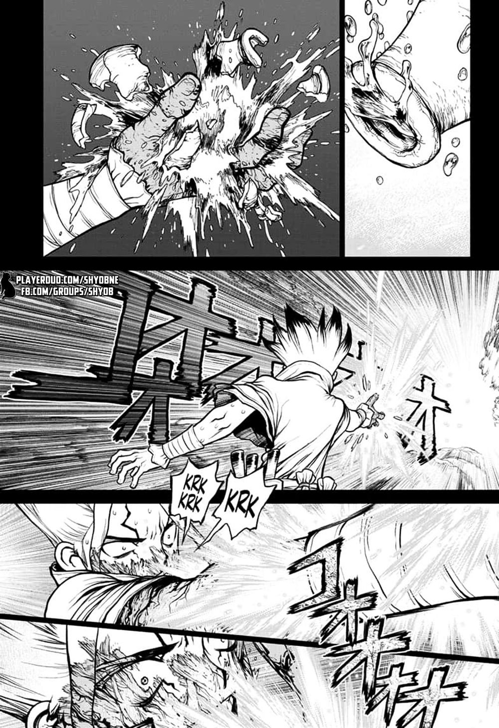 Dr.stone Tập 135 trang 11