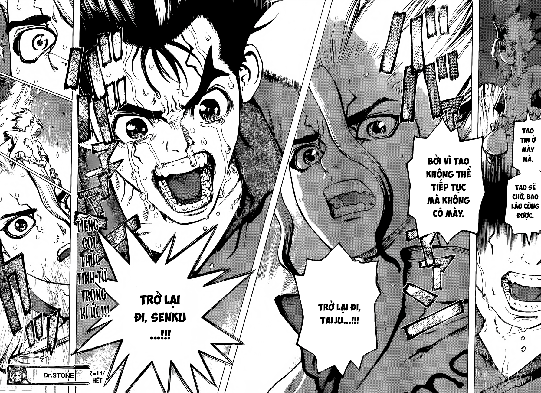 Dr.stone Tập 14 trang 18