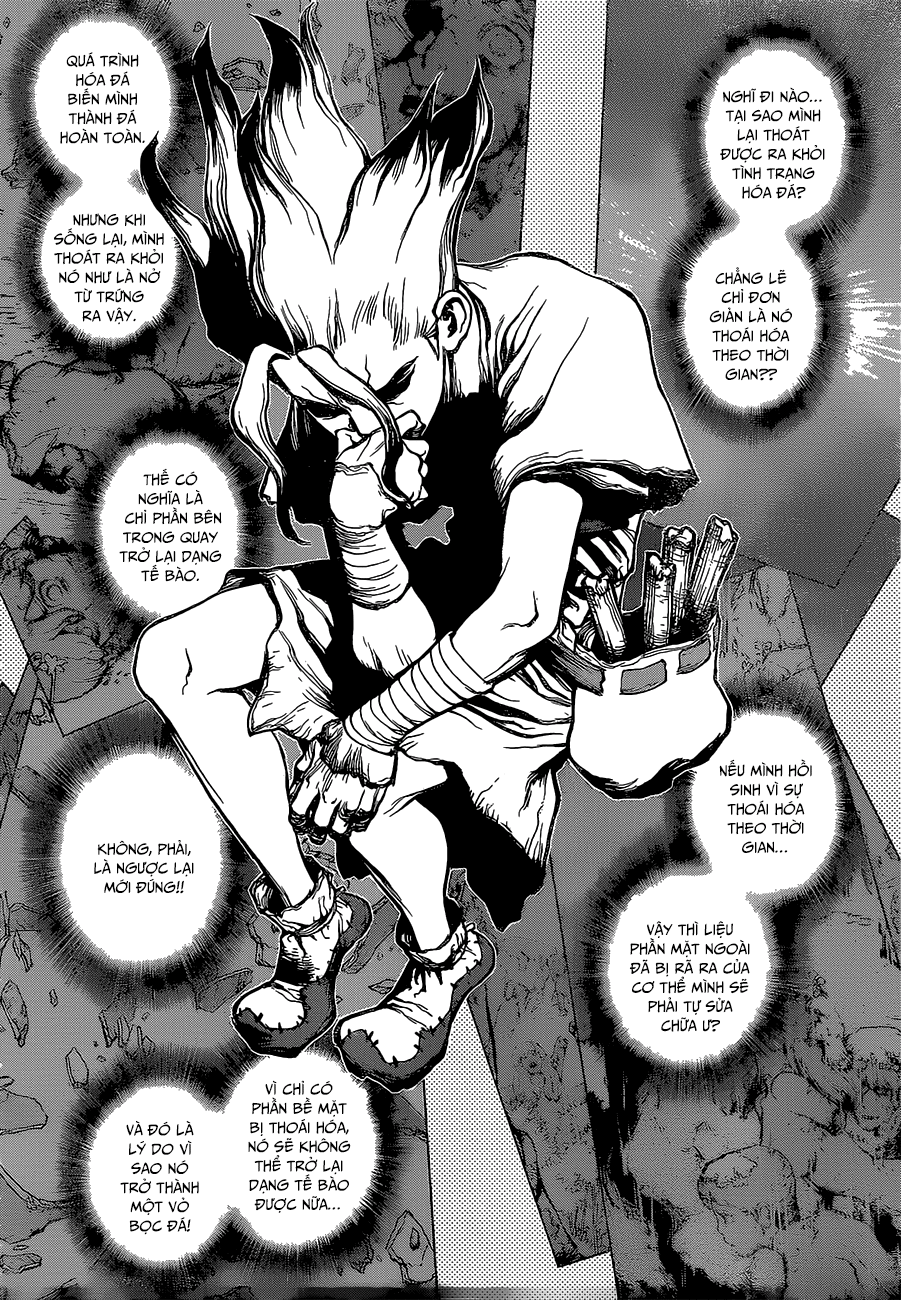 Dr.stone Tập 14 trang 8