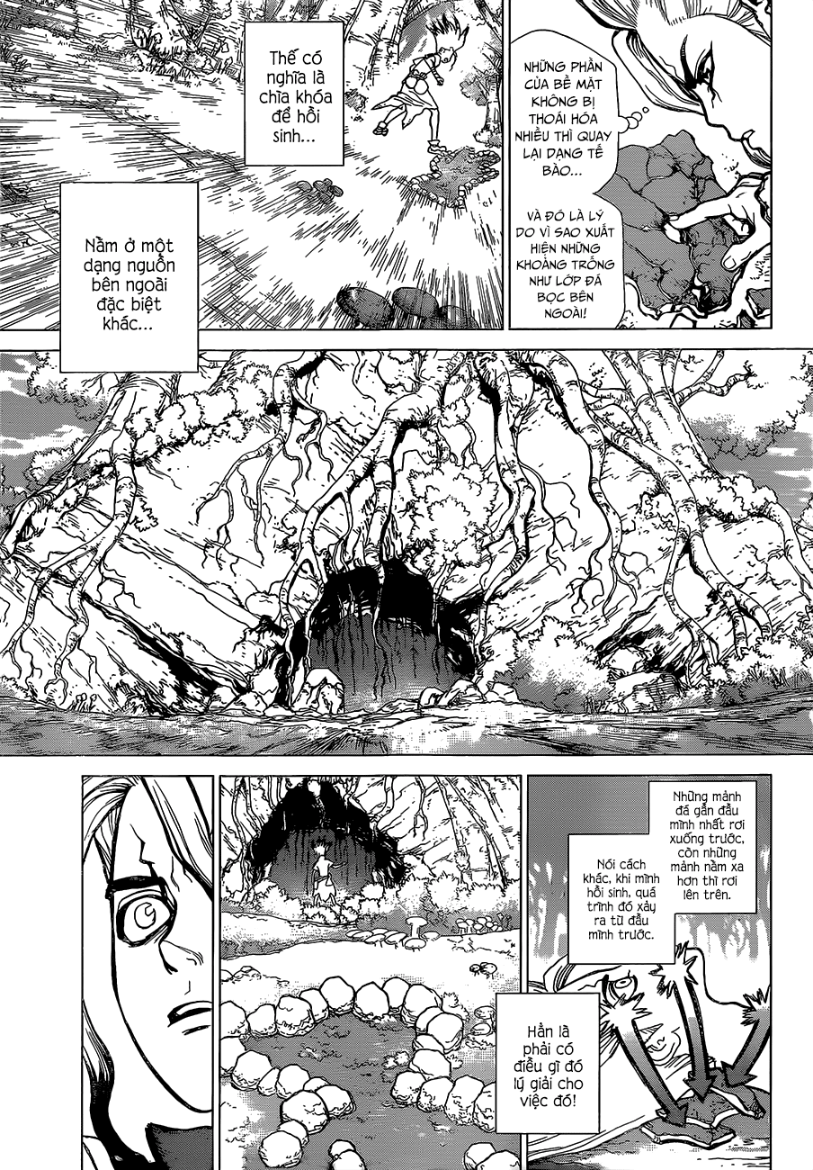 Dr.stone Tập 14 trang 9