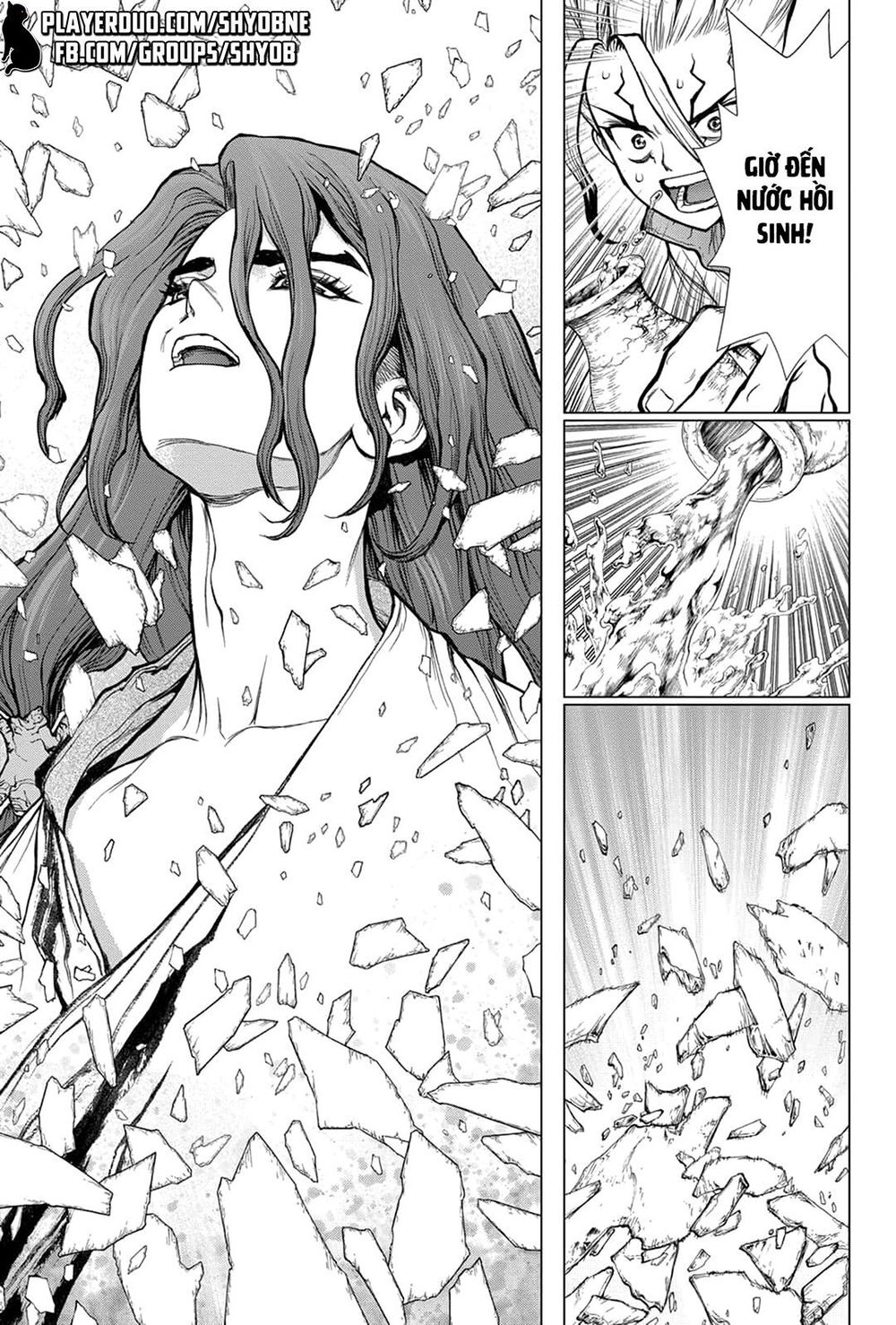 Dr.stone Tập 141 trang 12