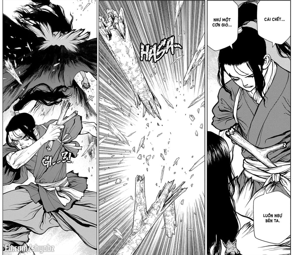 Dr.stone Tập 141 trang 24