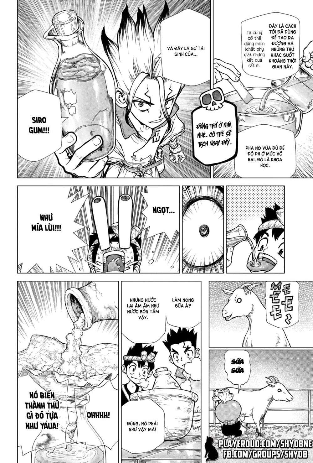 Dr.stone Tập 145 trang 9