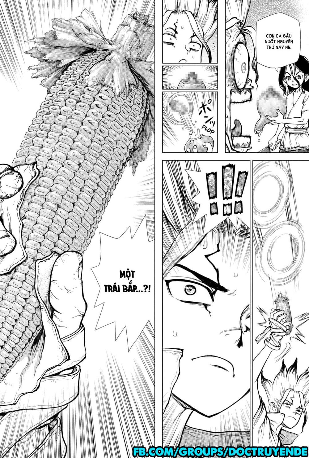 Dr.stone Tập 148 trang 21