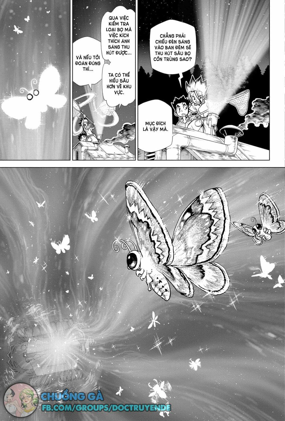 Dr.stone Tập 149 trang 8
