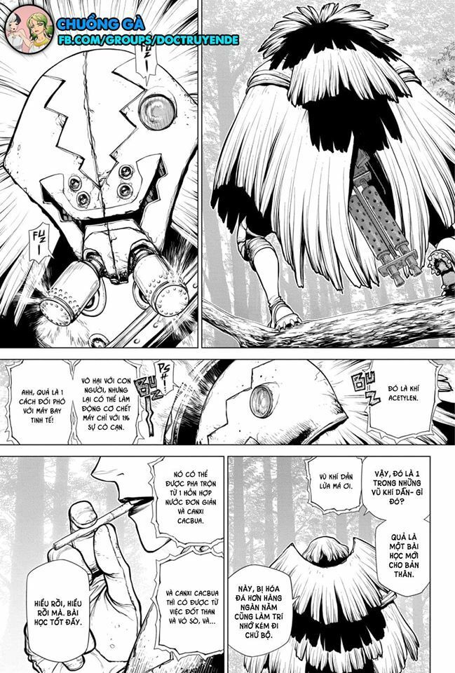 Dr.stone Tập 150 trang 17