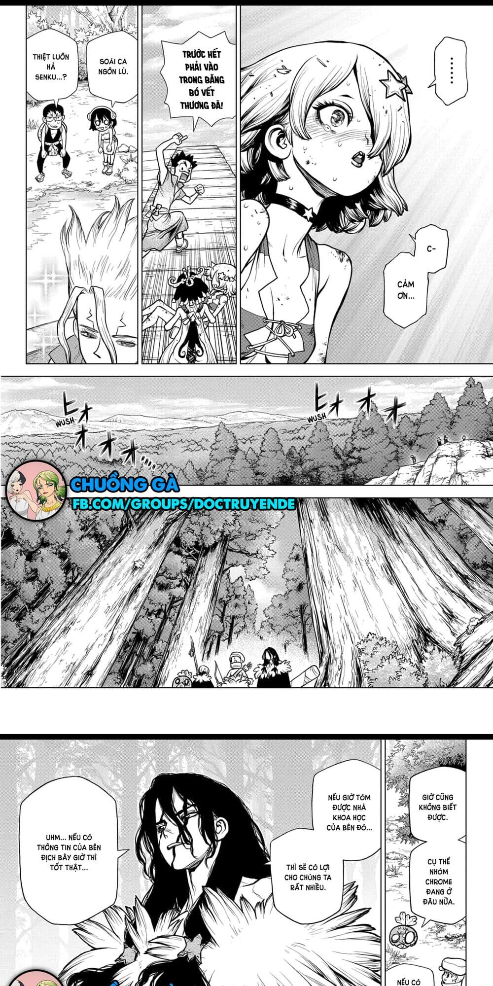 Dr.stone Tập 154 trang 14