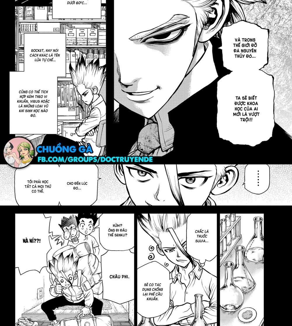 Dr.stone Tập 156 trang 17