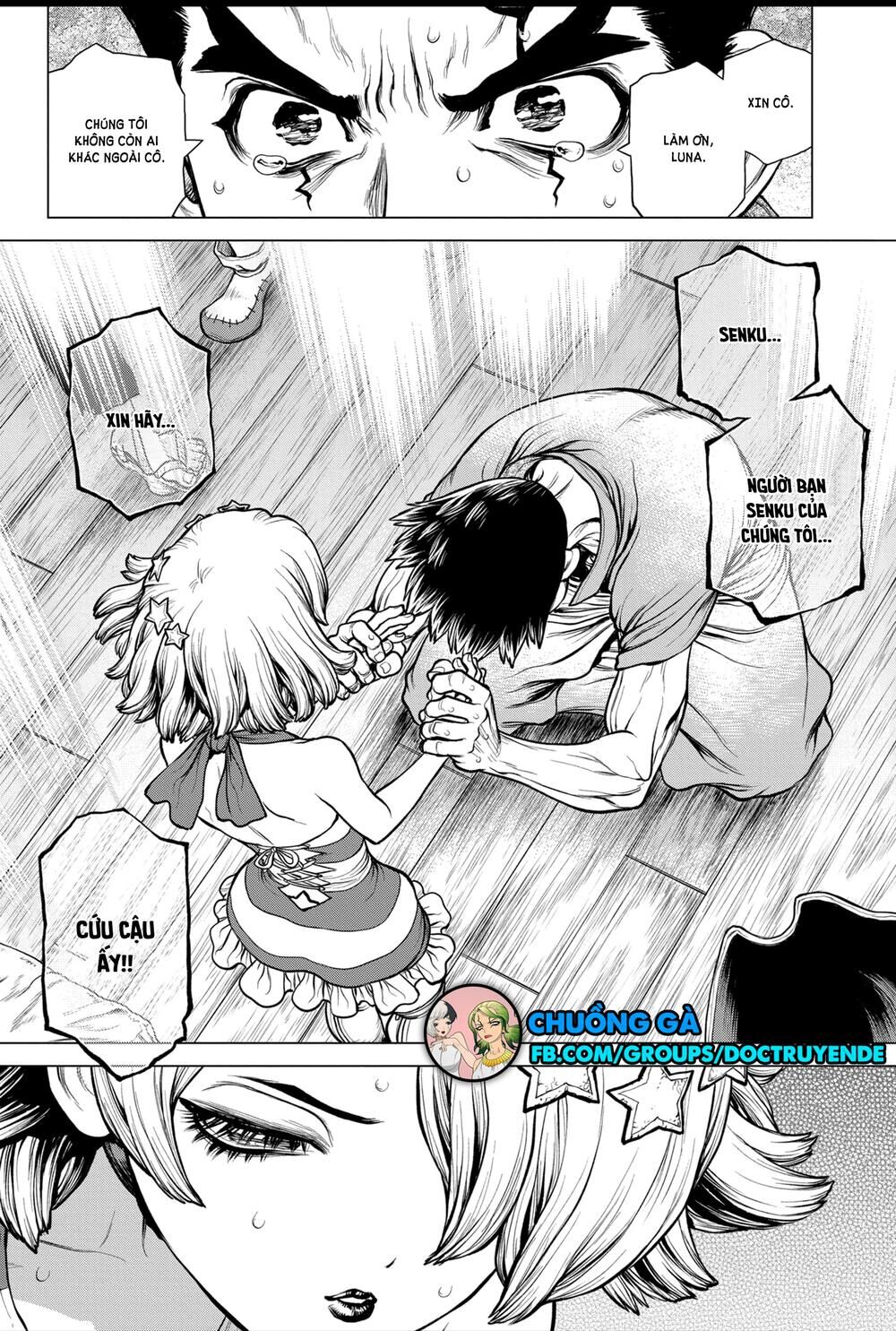 Dr.stone Tập 160 trang 12