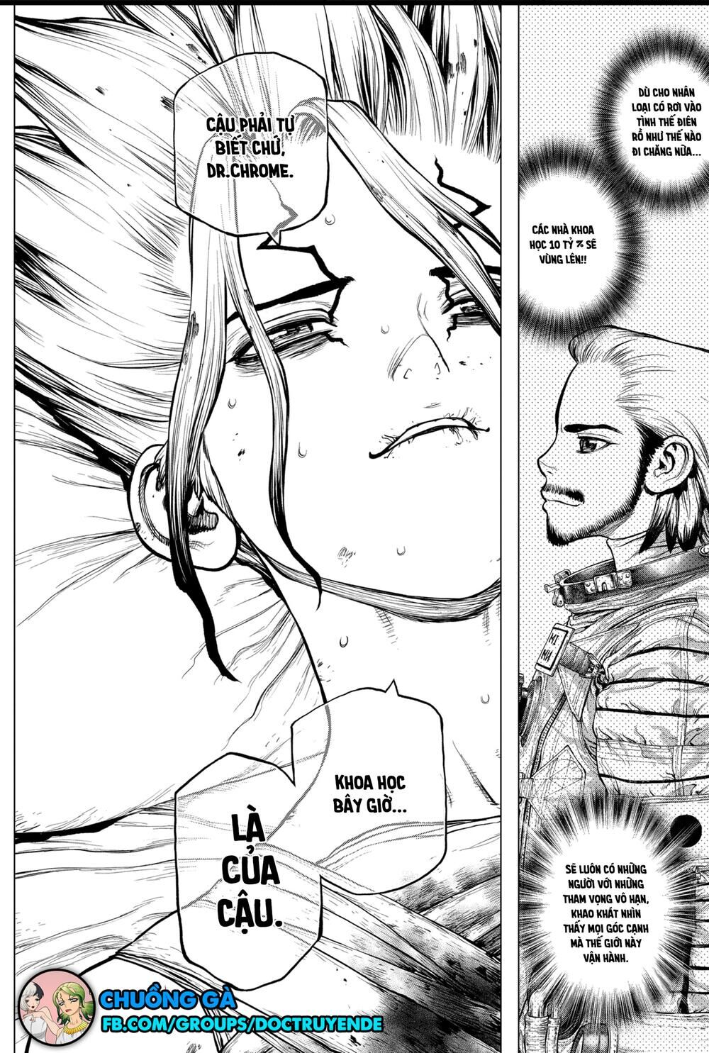 Dr.stone Tập 160 trang 17