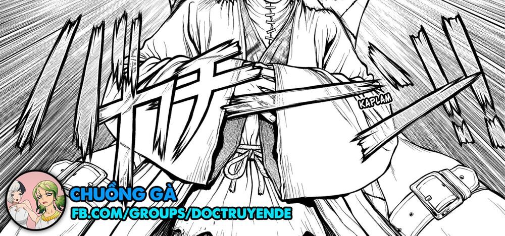 Dr.stone Tập 161 trang 13