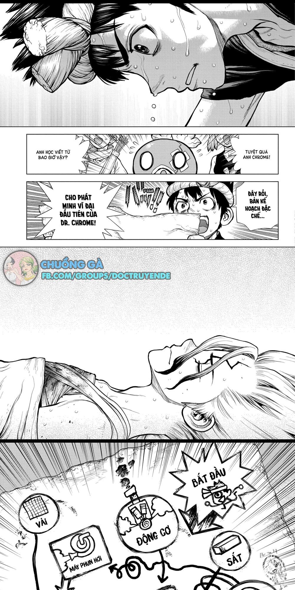 Dr.stone Tập 161 trang 17