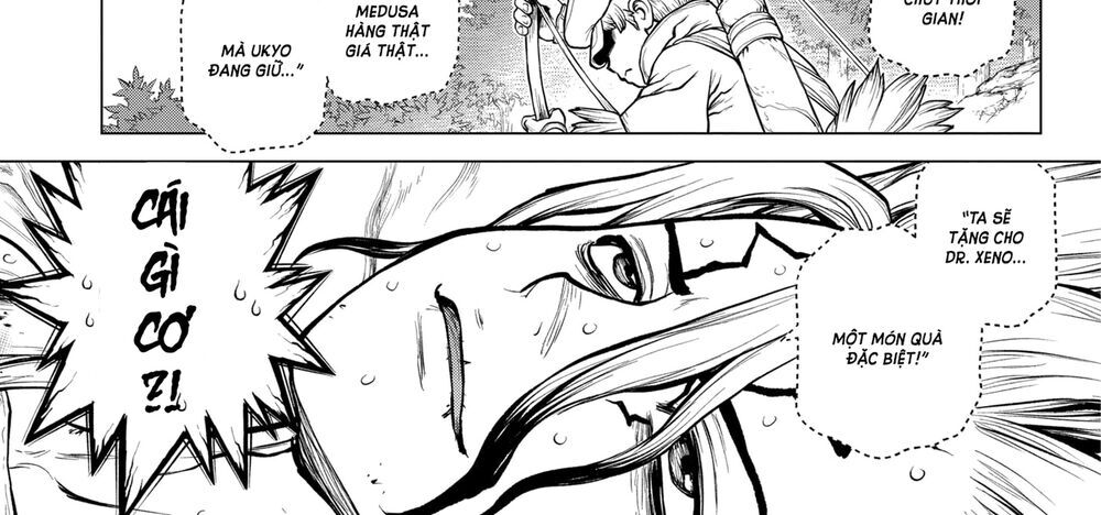 Dr.stone Tập 161 trang 7