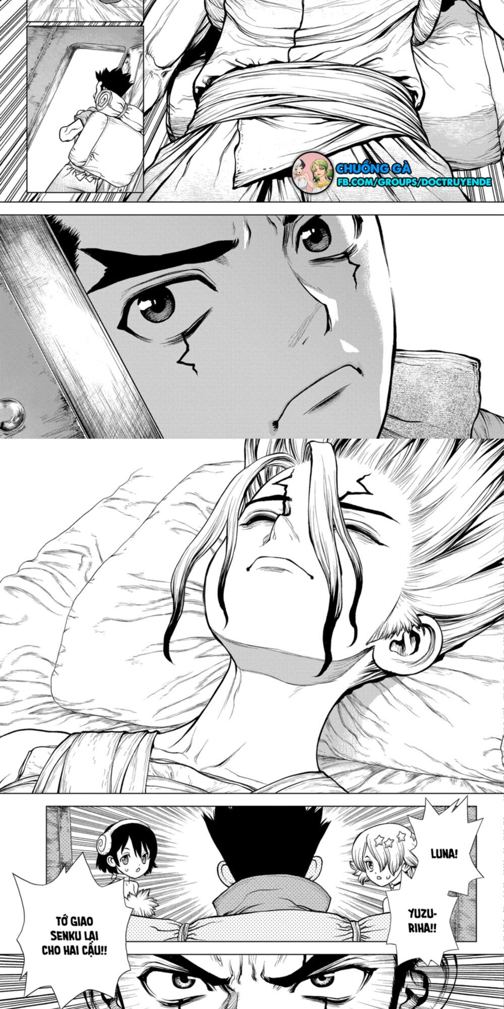 Dr.stone Tập 162 trang 6