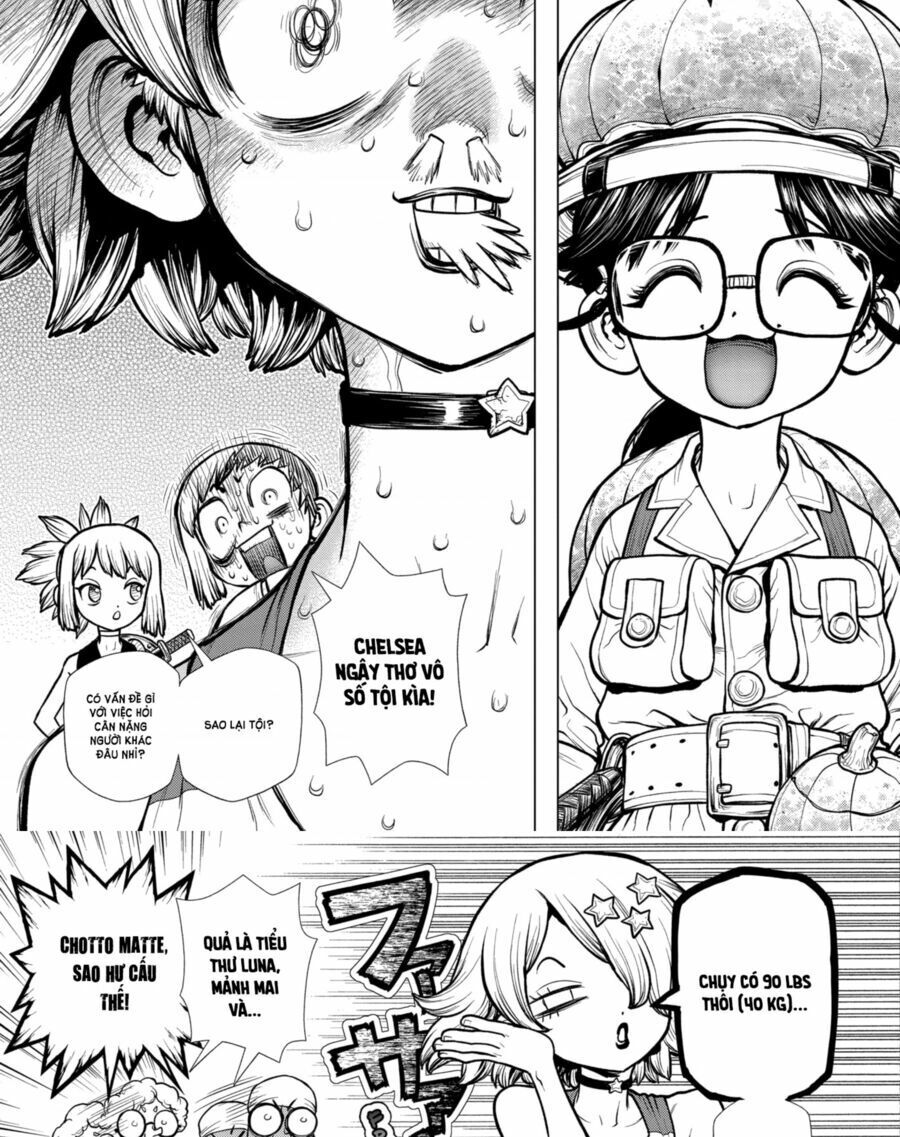 Dr.stone Tập 178 trang 8