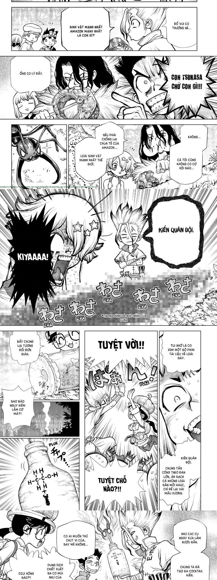 Dr.stone Tập 180 trang 5