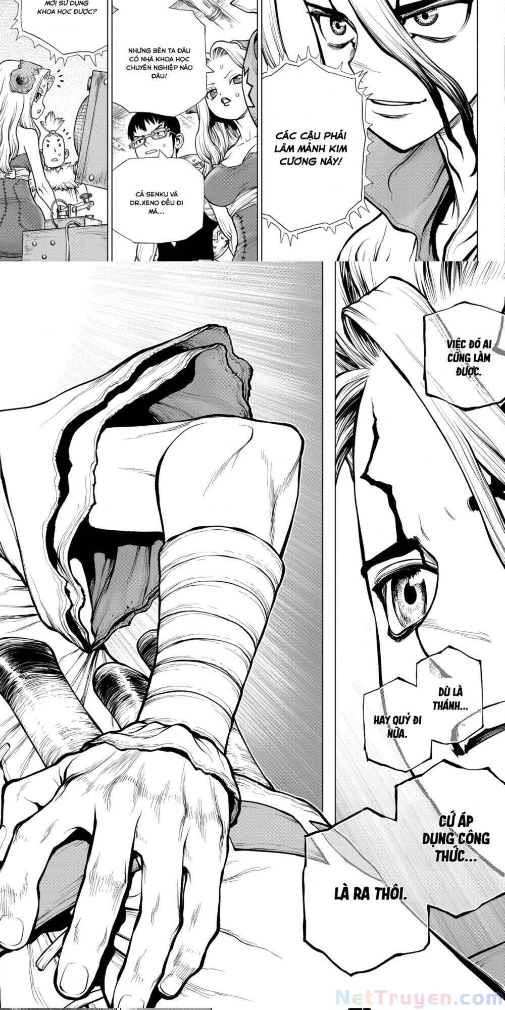 Dr.stone Tập 182 trang 11