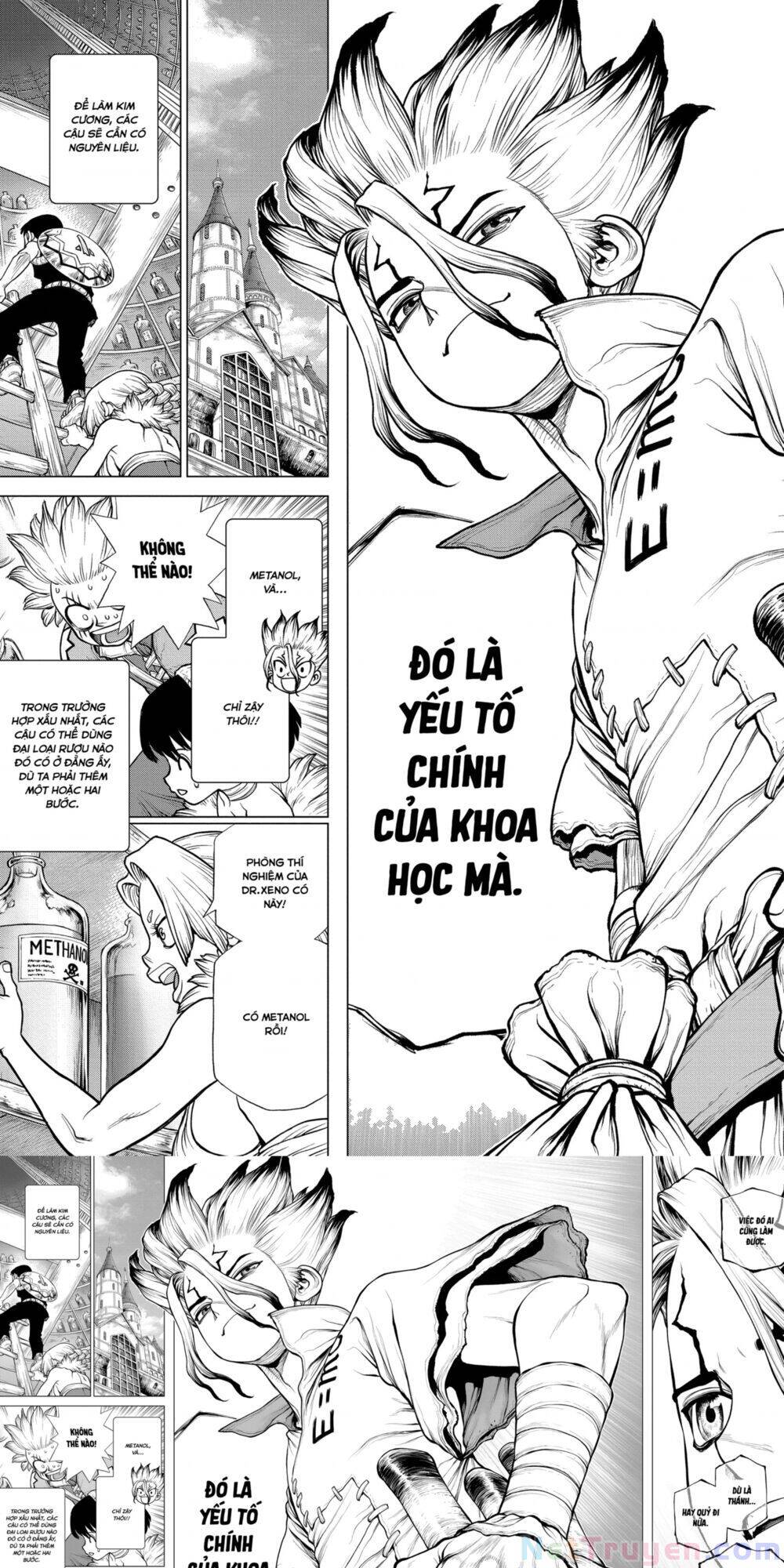 Dr.stone Tập 182 trang 12