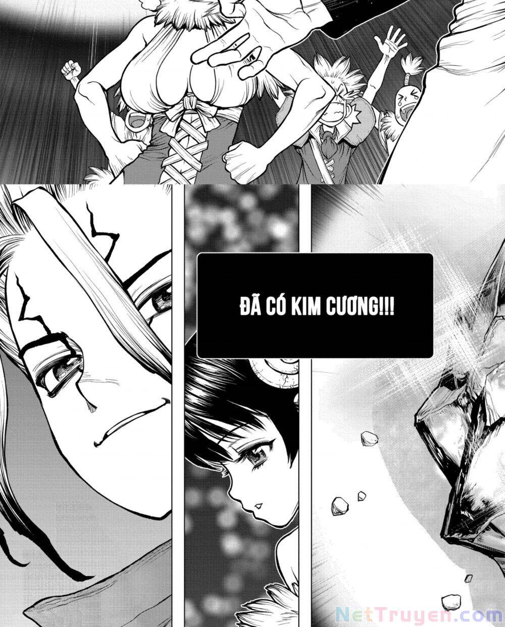 Dr.stone Tập 182 trang 17