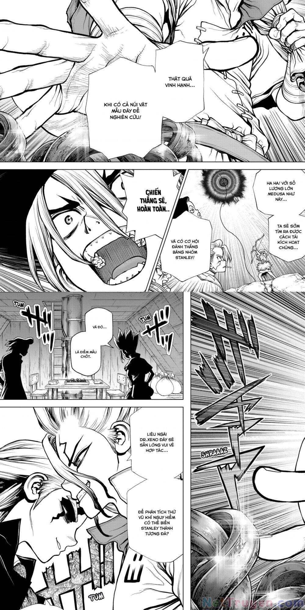 Dr.stone Tập 182 trang 3