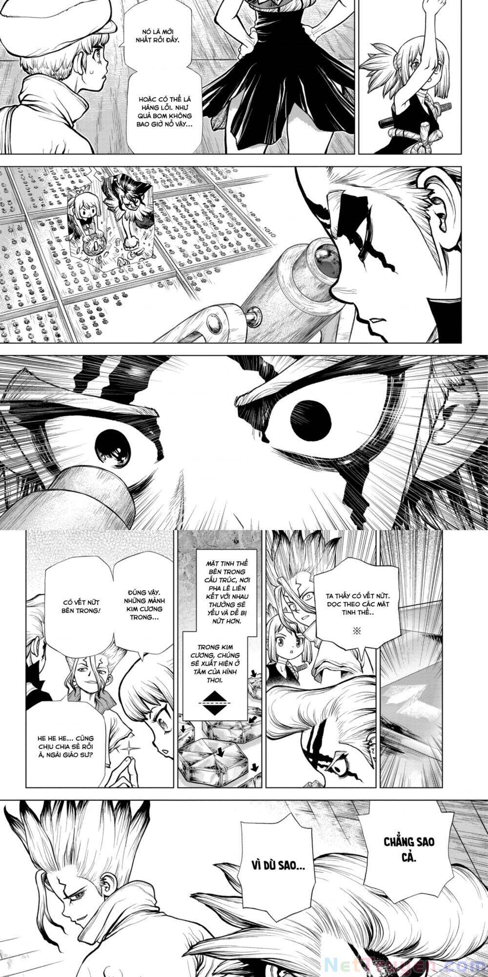 Dr.stone Tập 182 trang 7