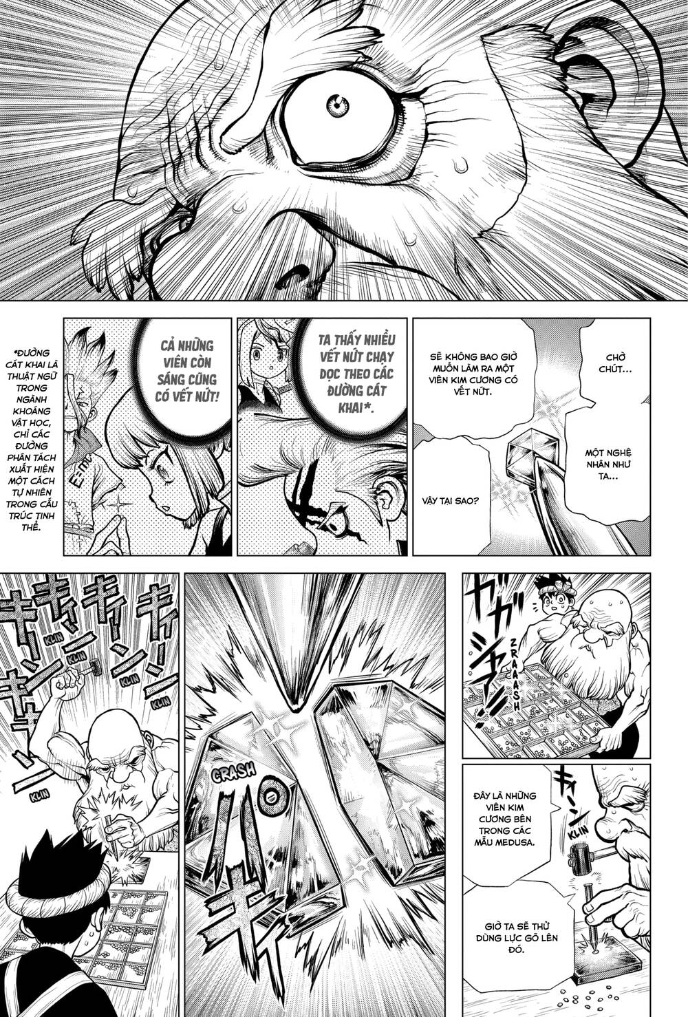 Dr.stone Tập 185 trang 11