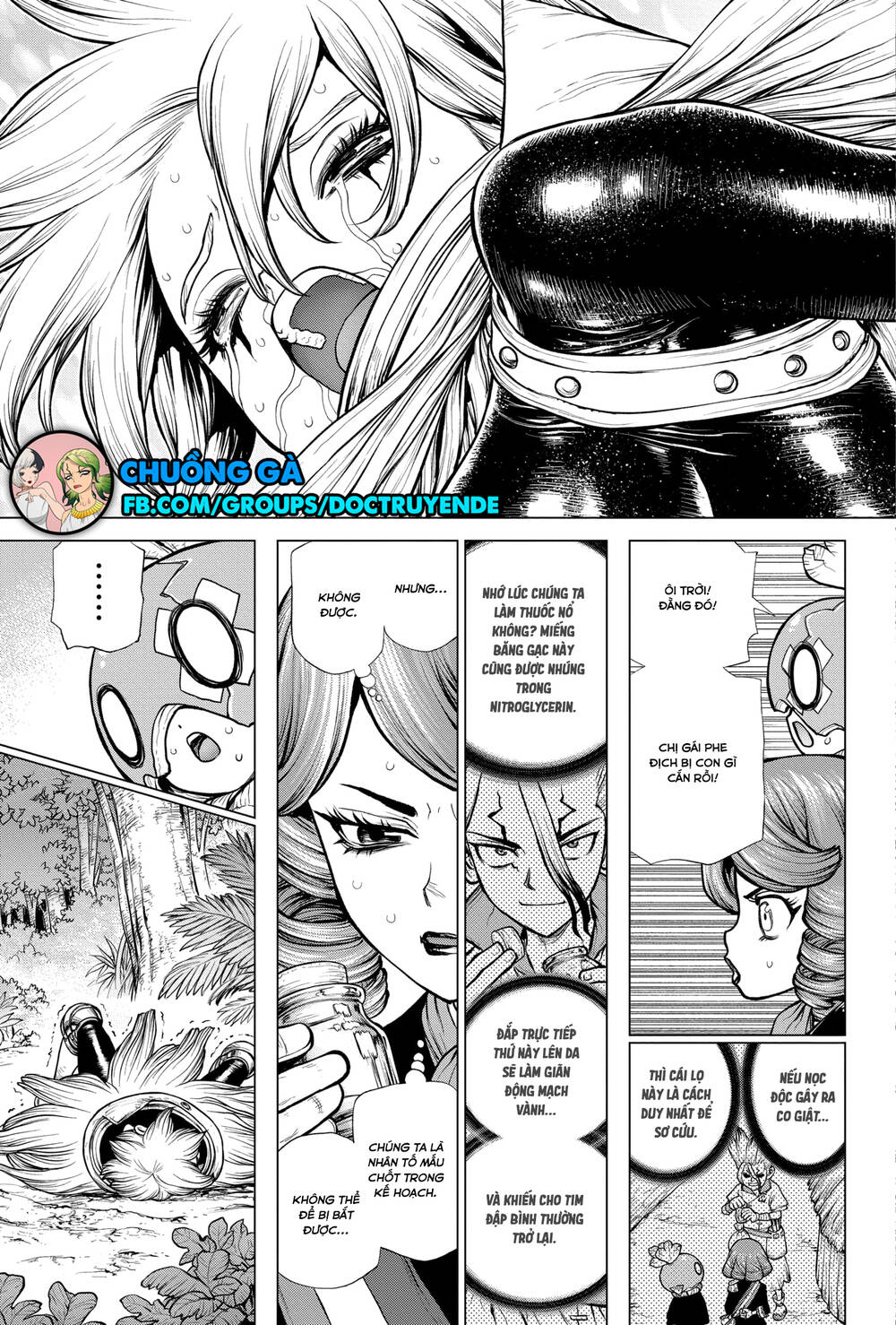 Dr.stone Tập 185 trang 18