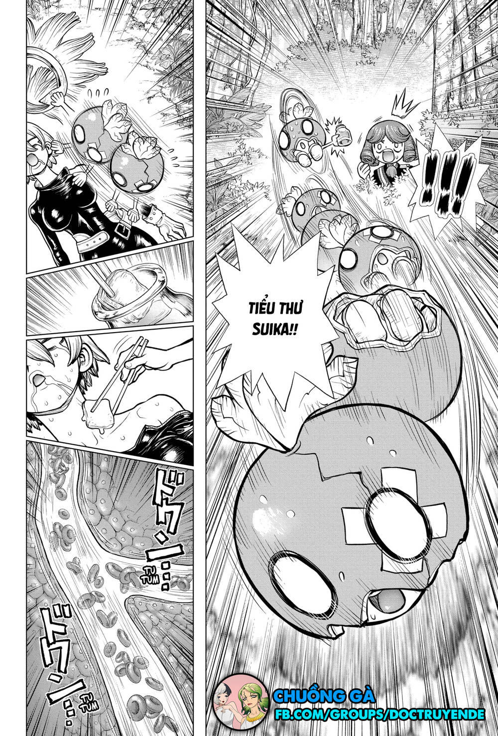 Dr.stone Tập 185 trang 20