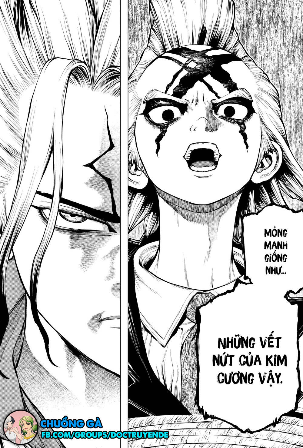 Dr.stone Tập 185 trang 22
