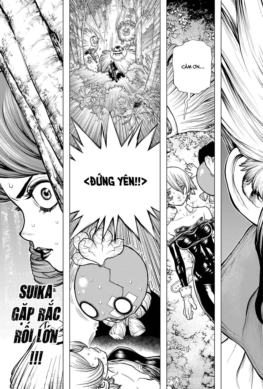 Dr.stone Tập 185 trang 23