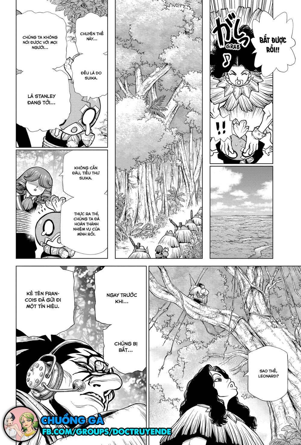 Dr.stone Tập 186 trang 19