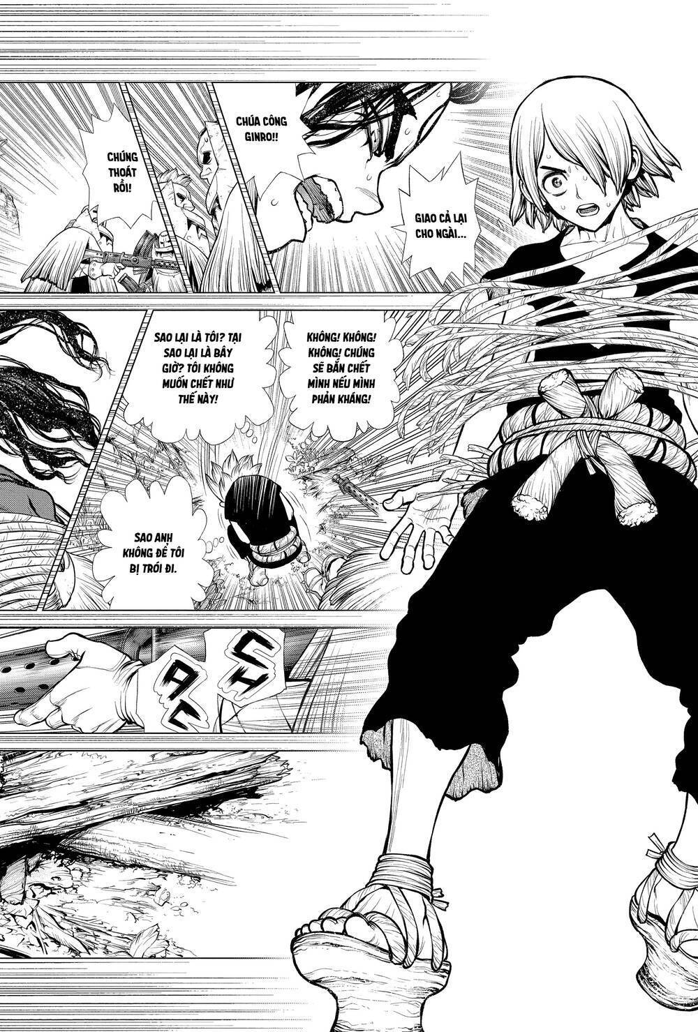 Dr.stone Tập 186 trang 9