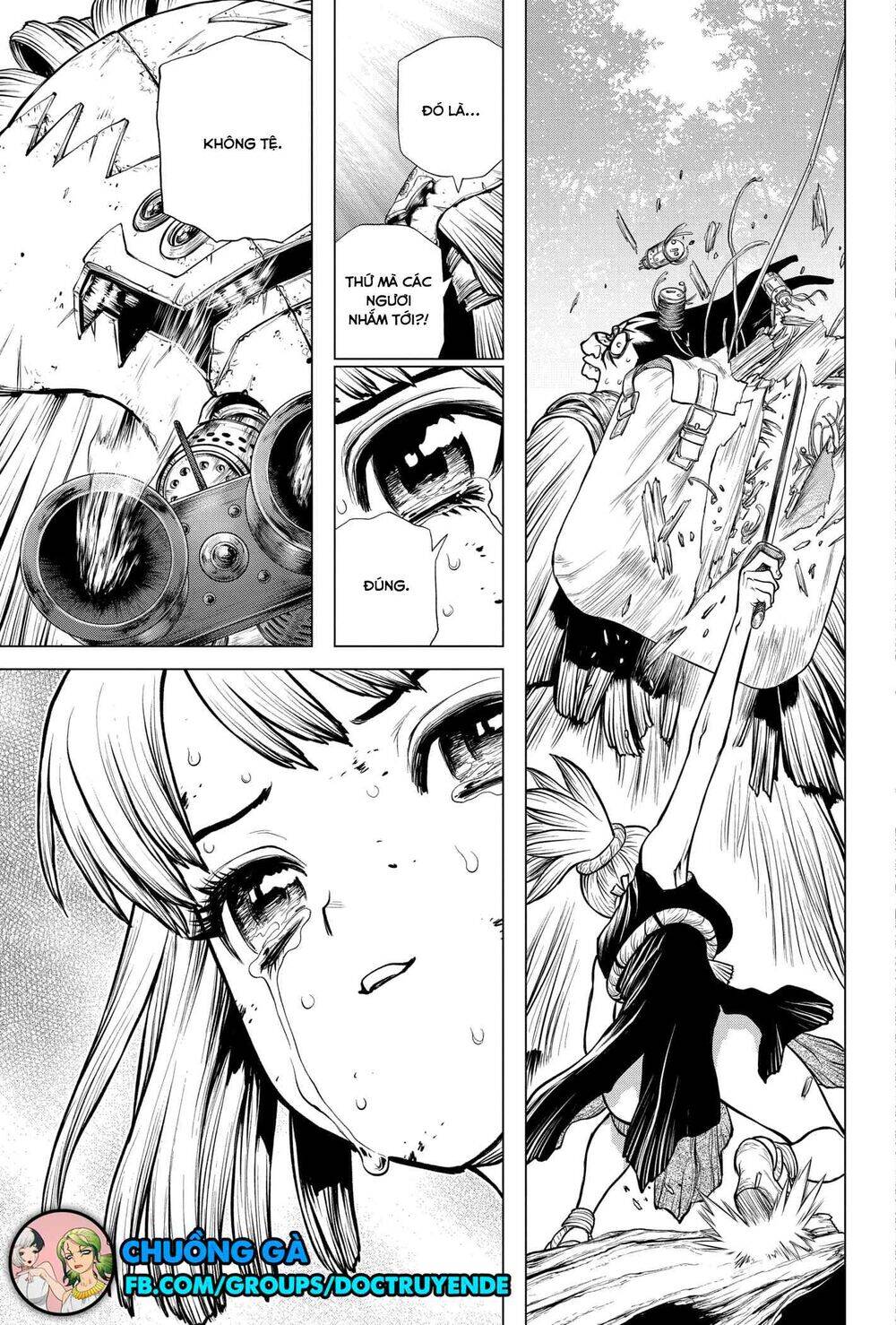 Dr.stone Tập 188 trang 14