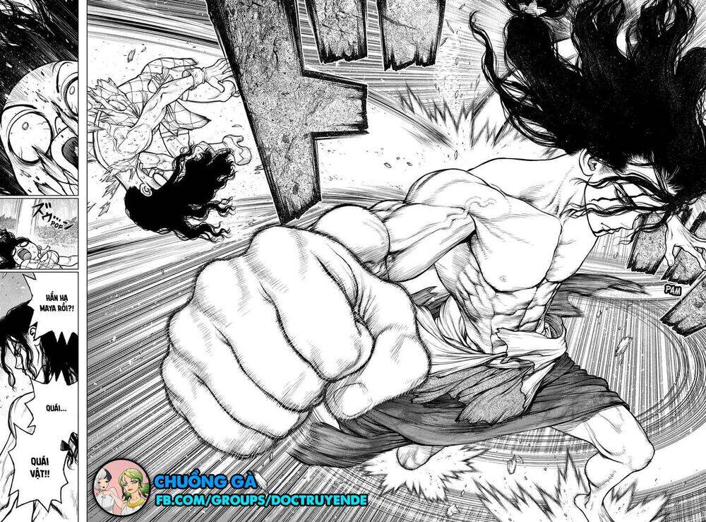 Dr.stone Tập 188 trang 10