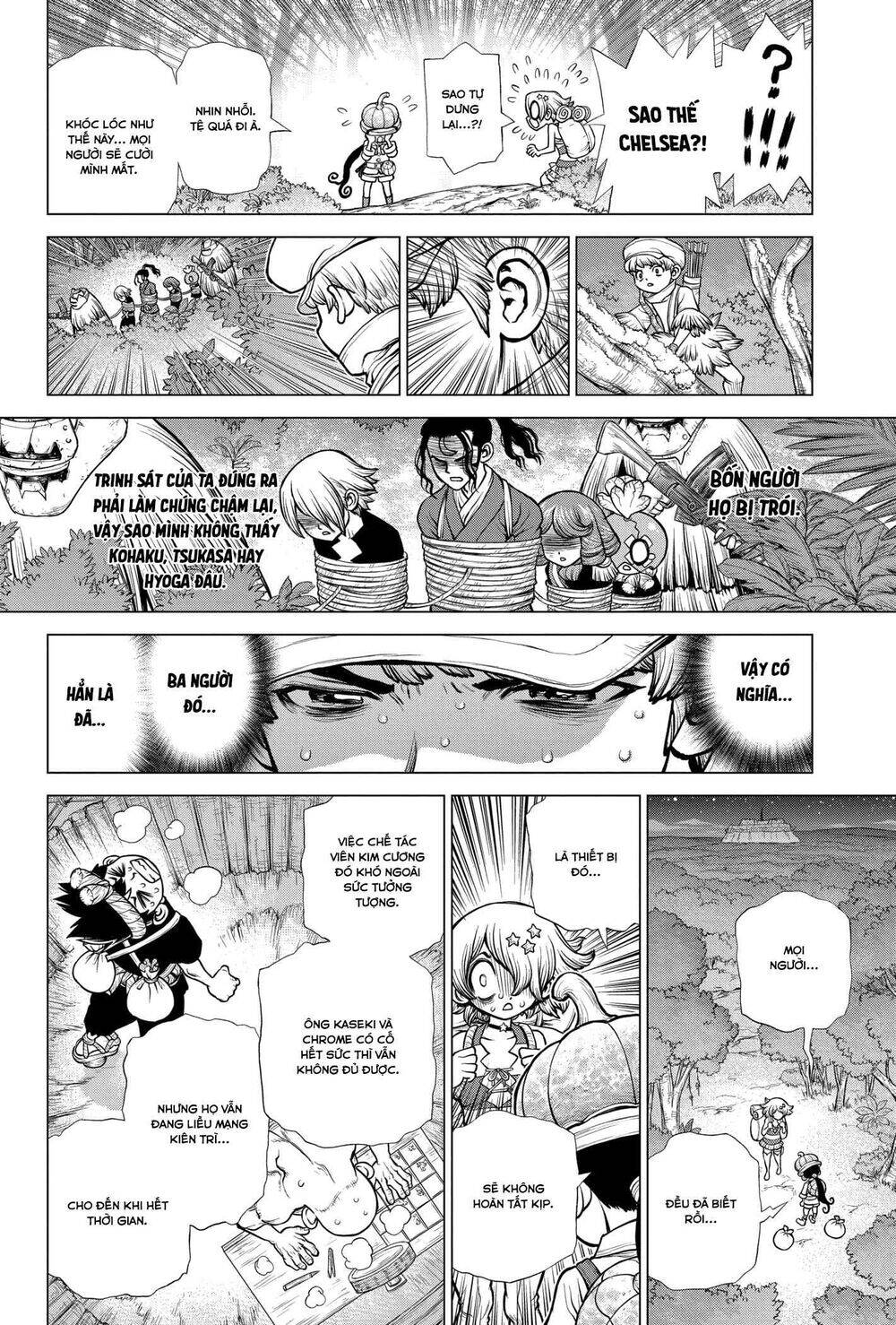 Dr.stone Tập 189 trang 11