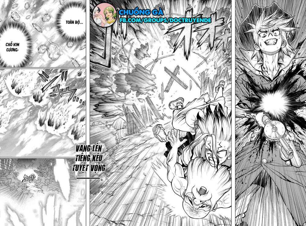 Dr.stone Tập 189 trang 20