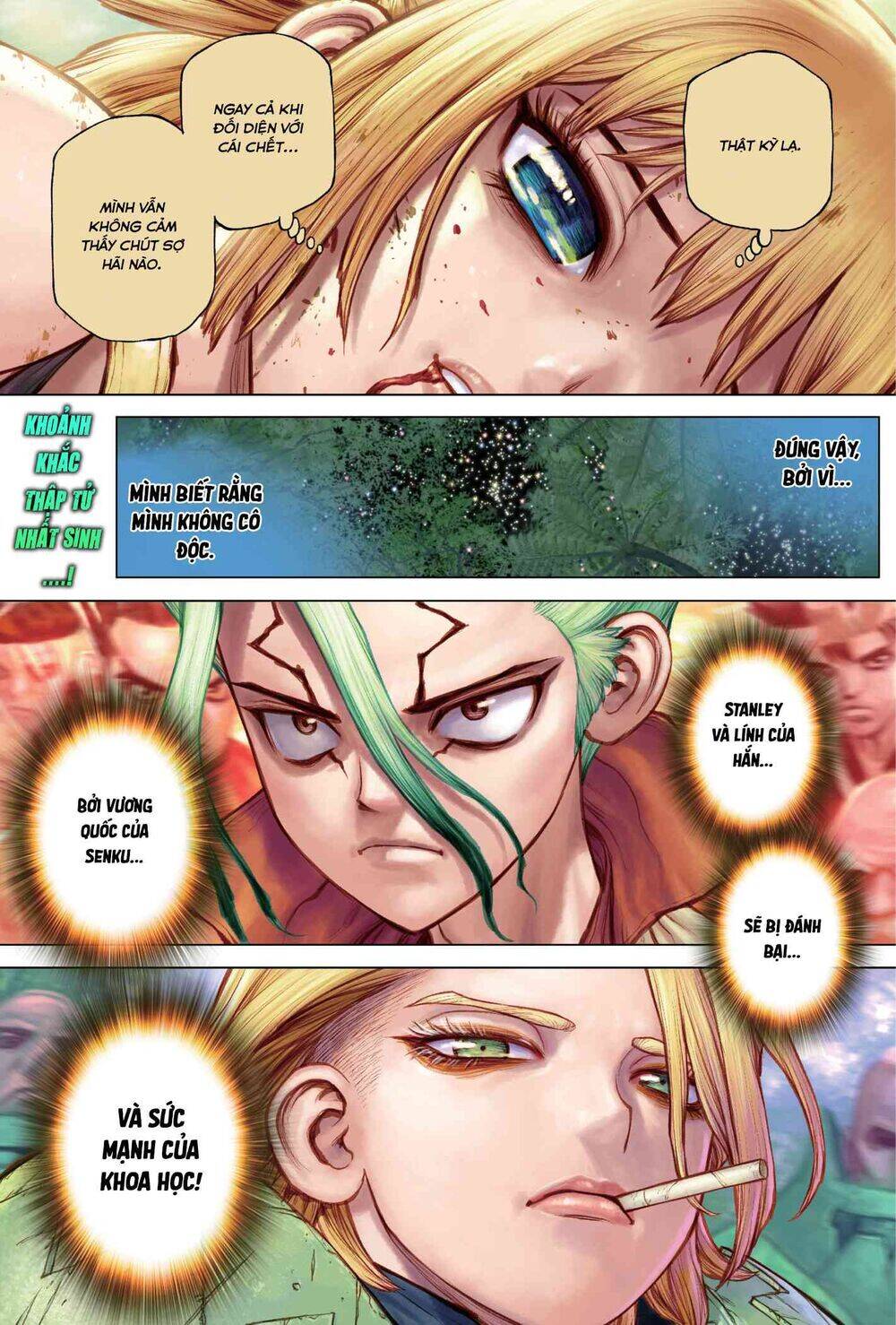 Dr.stone Tập 189 trang 3