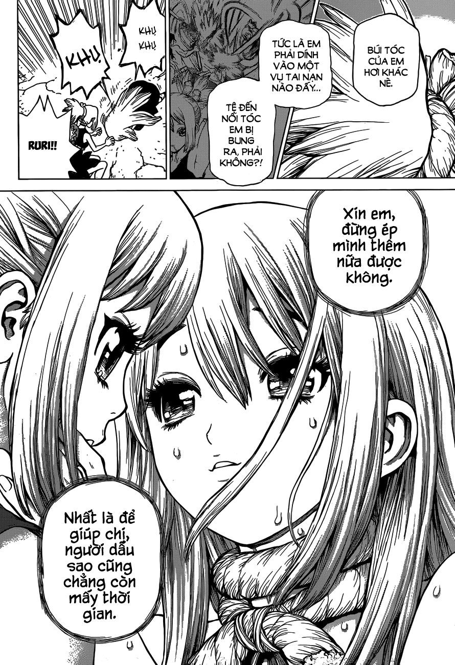 Dr.stone Tập 19 trang 13