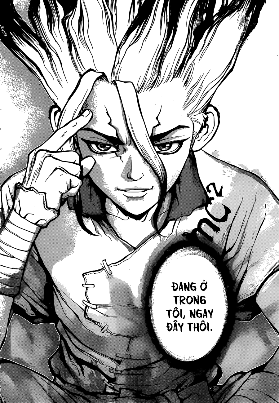 Dr.stone Tập 19 trang 18